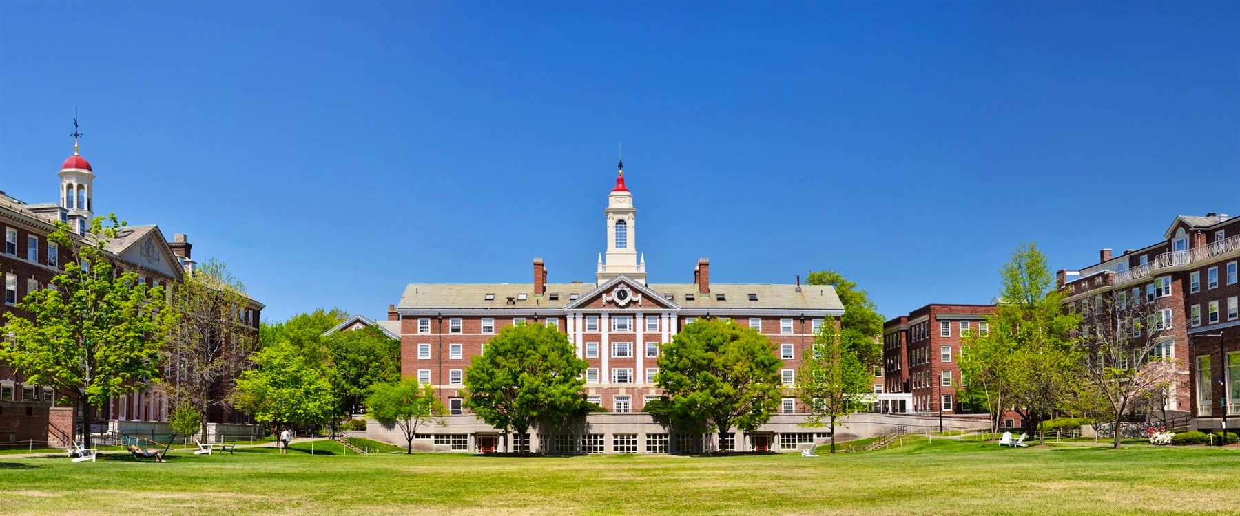 harvard university