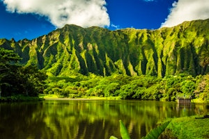 Ultimate Luxury Hawaii with Four Seasons Resorts image 1