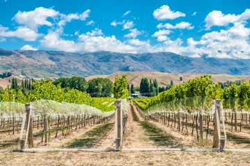 Queenstown Gourmet Wine Tour
