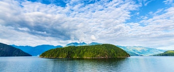 Vancouver Island Wildlife Adventure image 1