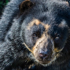 Machu Picchu – Cusco