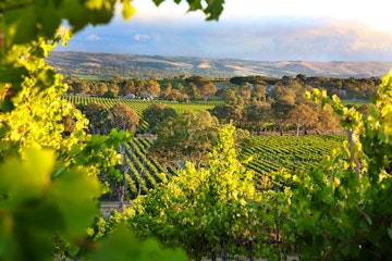 Adelaide Hills