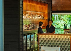 treehouse bar at silky oaks lodge queensland