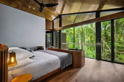 daintree pavilion bedroom at silky oaks lodge queensland