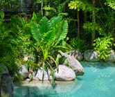 swimming pool at silky oaks lodge queensland
