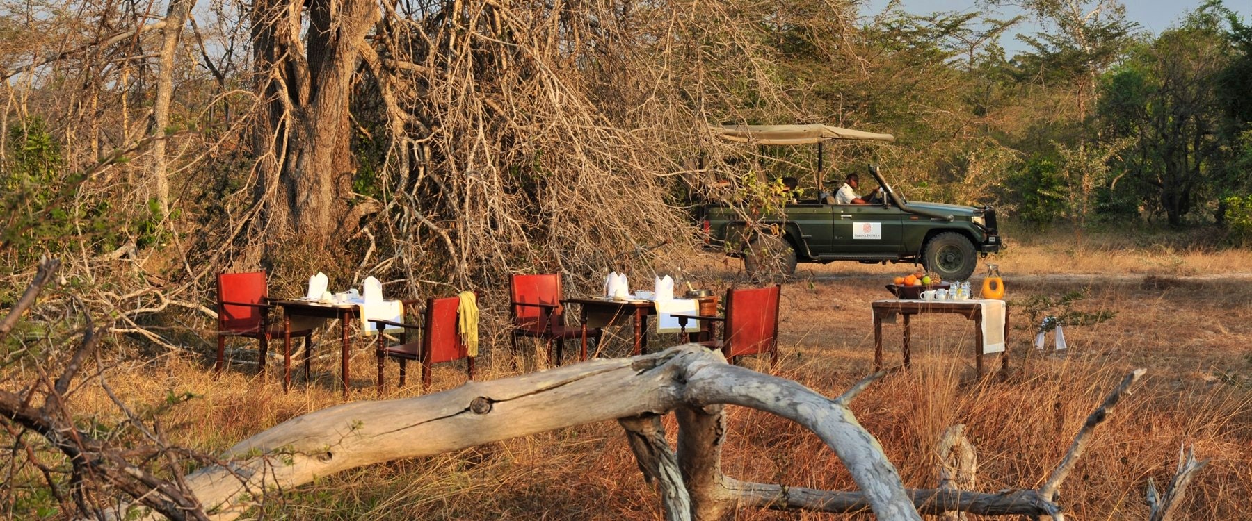 Breakfast in the bush at Selous Serena Camp