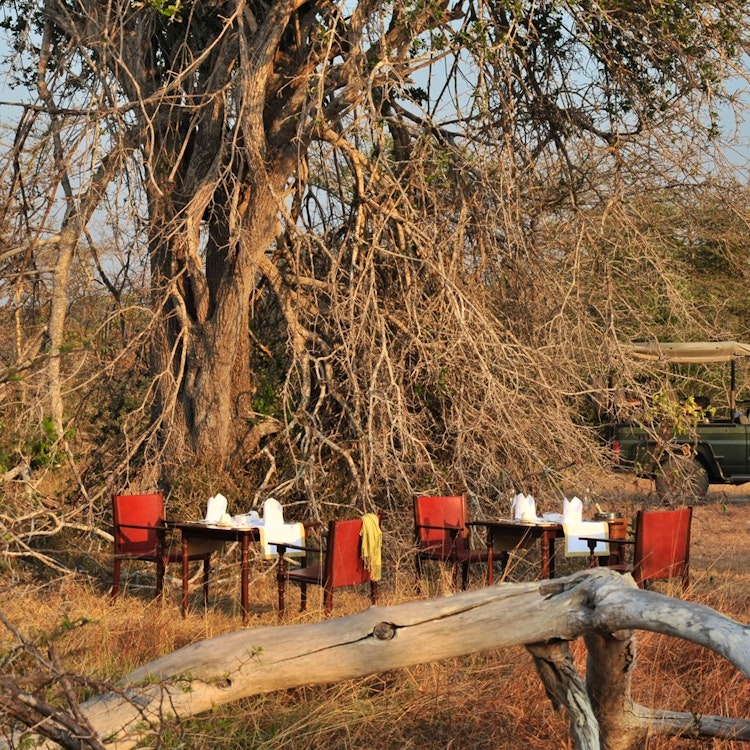 Selous Game Reserve