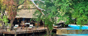 Selous Serena Camp  image 1