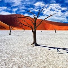 Sossusvlei Desert 