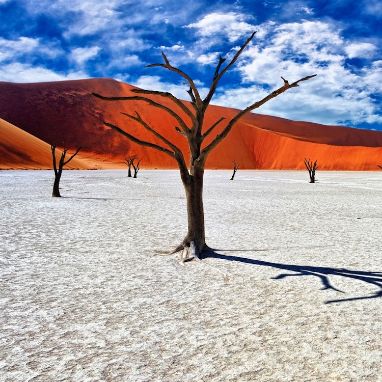Sossusvlei Desert