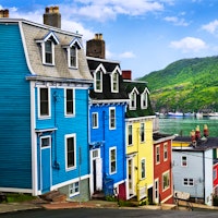 Newfoundland's Wildlife image 2