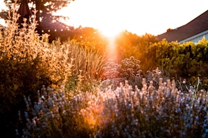 Stanly Ranch, Auberge Resorts Collection image 2