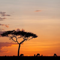 Romantic Africa: Kenya Safari & Zanzibar Beach image 2