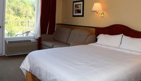 superior forest or fjord room