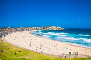 Sydney Harbour Cruise and City Sights