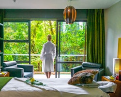 te waonui forest retreat south island