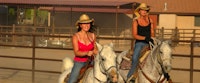 Team Penning At White Stallion Ranch, Arizona 