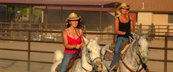 Team Penning At White Stallion Ranch, Arizona