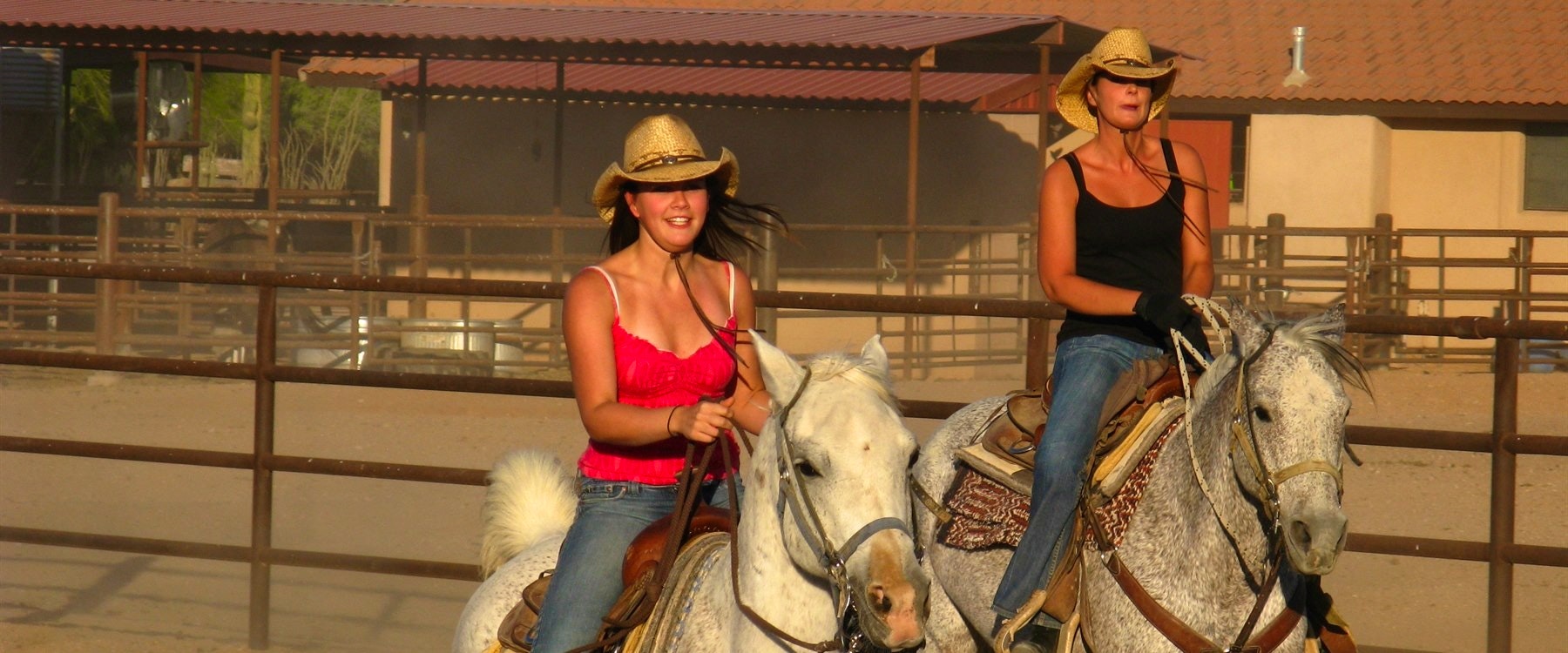 Team Penning At White Stallion Ranch, Arizona 