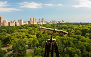 The Ritz-Carlton New York, Central Park image 3