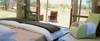 Onguma Private Game Reserve image 2