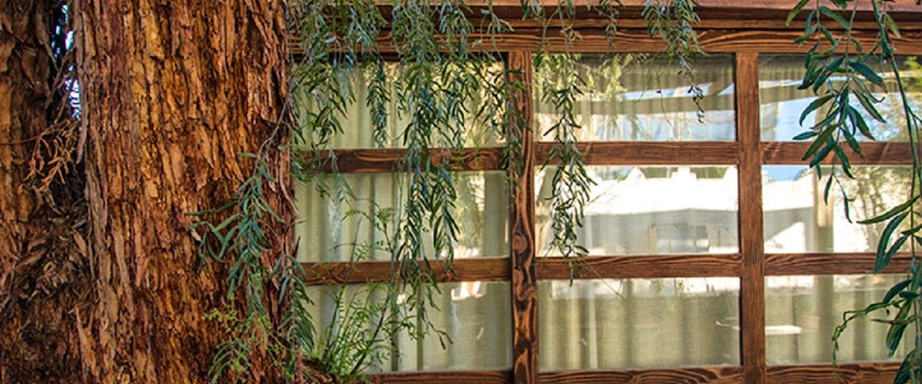 Exterior view, Terrantai Lodge