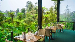 te waonui forest retreat south island