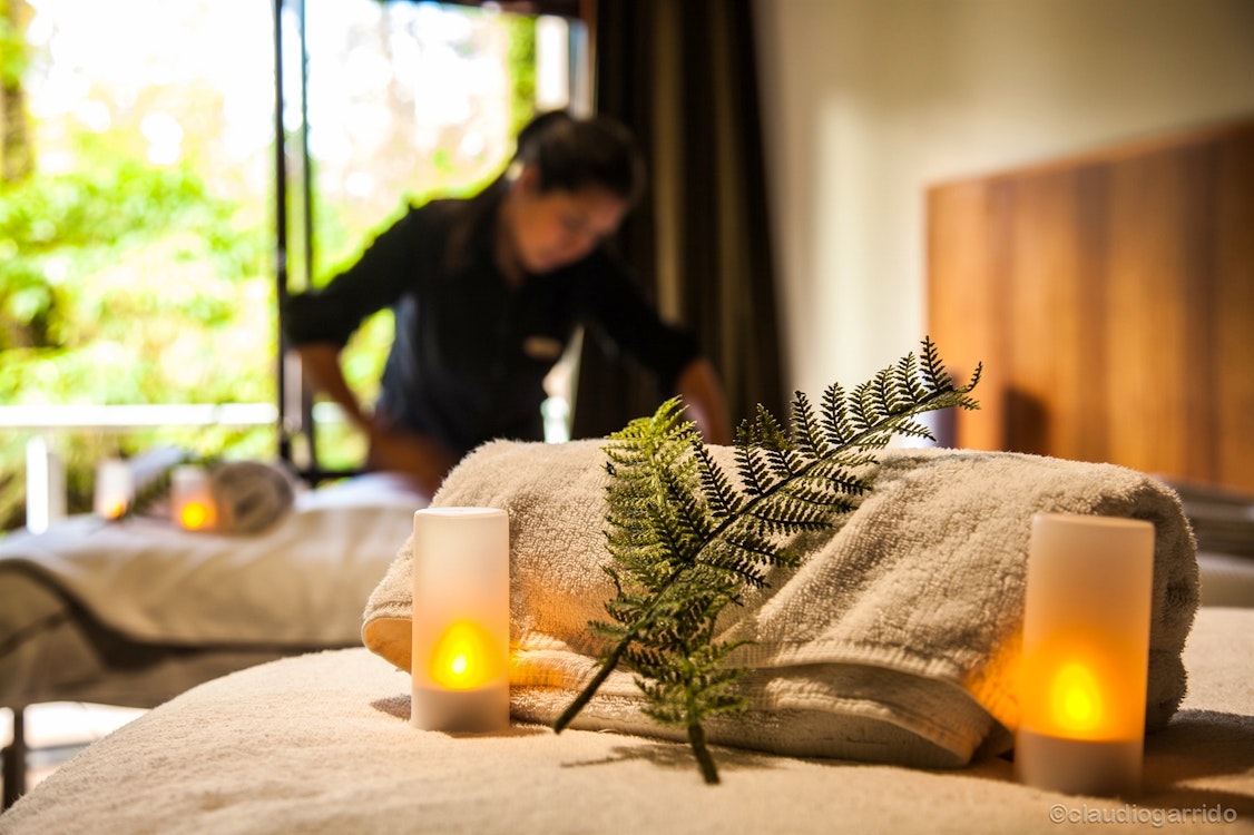 te waonui forest retreat south island 