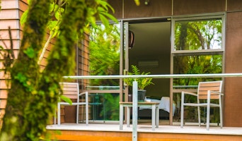 Te Waonui Forest Retreat image 3