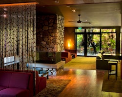 te waonui forest retreat south island