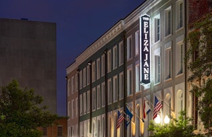 The Eliza Jane - In the Unbound Collection by Hyatt image 1