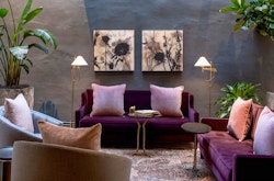 Lobby, The Eliza Jane, New Orleans, Louisiana, USA