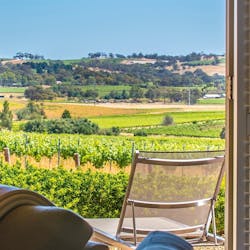 barossa valley views from seppeltsfield suite