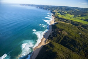 The Boomerangs at Johanna image 2