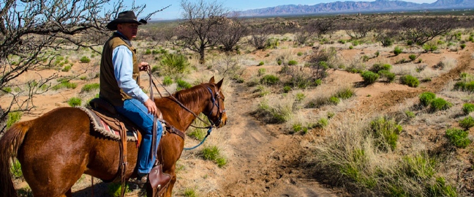 tombstone monument guest ranch