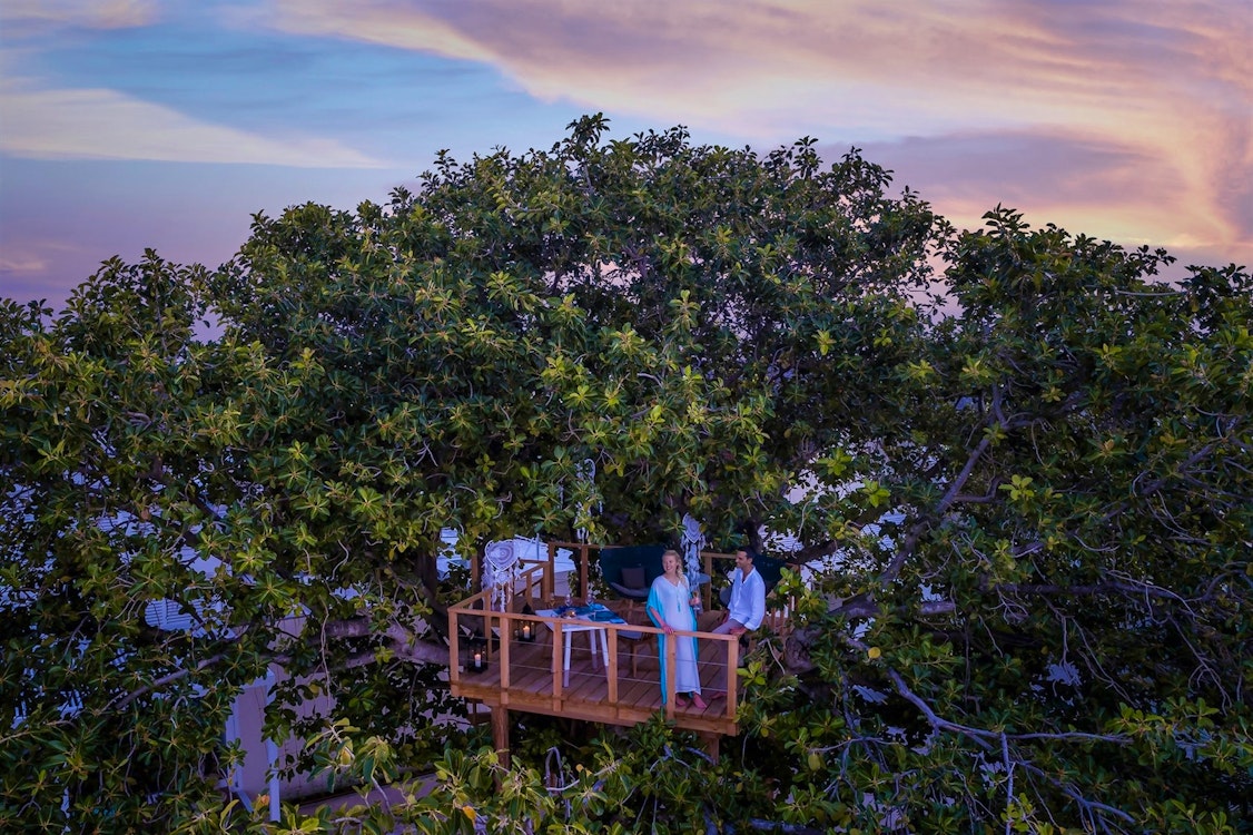 Tree-Top Dining, Four Seasons Resort Maldives at Landaa Giraavaru