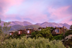 treehouses at hapuku lodge  tree houses kaikoura