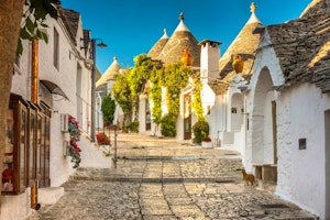 Pathway into Puglia image 3