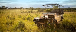 game drive at ulusaba private game reserve sabi sand game reserve