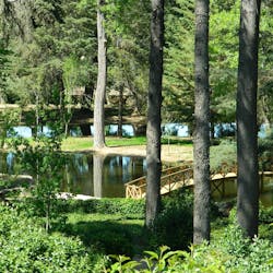 Lake and bridge, Vidago Palace Hotel