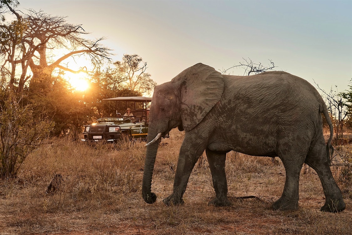 Victoria Falls River Lodge  7