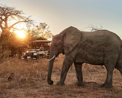 Victoria Falls River Lodge 7
