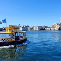 Vancouver Island Wildlife Adventure image 3