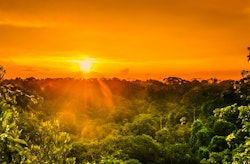 Amazon Rainforest, Amazon Trailblazer, Oceania Cruises