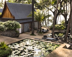 Lilly Pond at Amanpuri, Phuket, Thailand