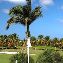 Golf Course at Bwa Chik Hotel & Golf, Guadeloupe