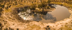 Aerial view of water hole at Ghoha Hills