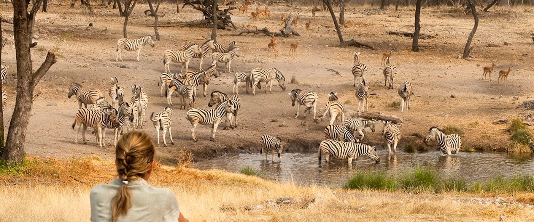 Watering hole at Onguma Private Game Reserve