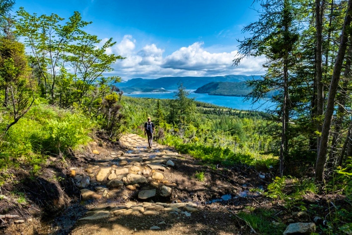 hiking on the lookout trail in gros morne national park newfoundland