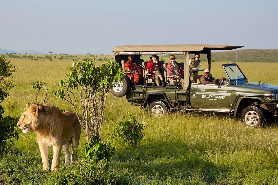 wildebeest great migration masai mara kenya 